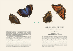 Innenansicht 2 zum Buch Naturelove. Die 50 schönsten Schmetterlinge der Welt