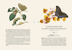 Innenansicht 4 zum Buch Naturelove. Die 50 schönsten Schmetterlinge der Welt