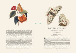 Innenansicht 7 zum Buch Naturelove. Die 50 schönsten Schmetterlinge der Welt