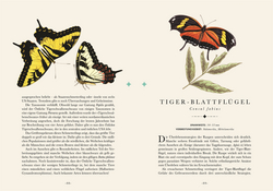 Innenansicht 8 zum Buch Naturelove. Die 50 schönsten Schmetterlinge der Welt