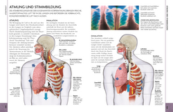 Innenansicht 5 zum Buch Kompaktatlas menschlicher Körper