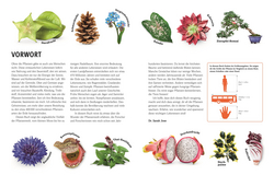 Innenansicht 2 zum Buch Unsere Welt in 1000 Bildern. Pflanzen