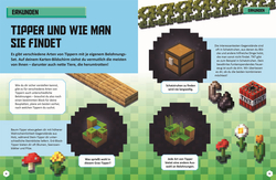 Innenansicht 2 zum Buch Unabhängig und inoffiziell: Minecraft Earth Das Gamer-Buch