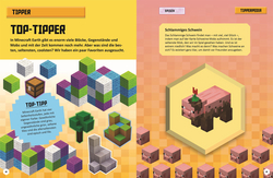 Innenansicht 7 zum Buch Unabhängig und inoffiziell: Minecraft Earth Das Gamer-Buch