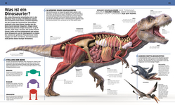Innenansicht 2 zum Buch DK Wissen. Dinosaurier