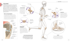 Innenansicht 4 zum Buch Lauftraining – Die Anatomie verstehen