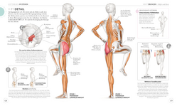Innenansicht 7 zum Buch Lauftraining – Die Anatomie verstehen