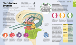 Innenansicht 3 zum Buch #dkinfografik. Das menschliche Gehirn und wie es funktioniert