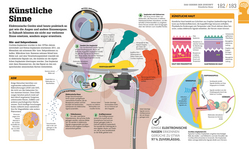 Innenansicht 9 zum Buch #dkinfografik. Das menschliche Gehirn und wie es funktioniert