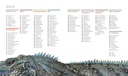 Innenansicht 1 zum Buch Fauna – Wunderwelt der Tiere