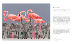 Innenansicht 3 zum Buch Fauna – Wunderwelt der Tiere
