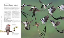 Innenansicht 5 zum Buch Fauna – Wunderwelt der Tiere