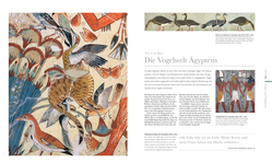 Innenansicht 7 zum Buch DK Wunderwelten. Fauna – Wunderwelt der Tiere