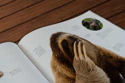 Innenansicht 13 zum Buch Fauna – Wunderwelt der Tiere