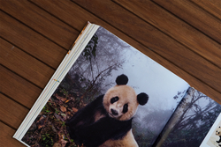 Innenansicht 14 zum Buch Fauna – Wunderwelt der Tiere