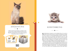 Innenansicht 1 zum Buch Naturelove. 50 besondere Katzen