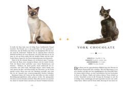 Innenansicht 3 zum Buch Naturelove. 50 besondere Katzen