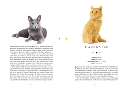 Innenansicht 4 zum Buch Naturelove. 50 besondere Katzen
