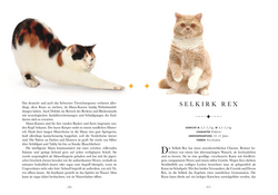 Innenansicht 5 zum Buch Naturelove. 50 besondere Katzen