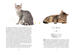 Innenansicht 6 zum Buch Naturelove. 50 besondere Katzen