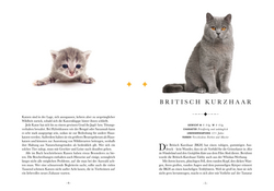 Innenansicht 7 zum Buch Naturelove. 50 besondere Katzen