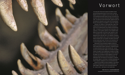 Innenansicht 3 zum Buch Dinosaurier und andere Lebewesen der Urzeit
