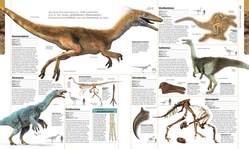 Innenansicht 5 zum Buch Dinosaurier und andere Lebewesen der Urzeit