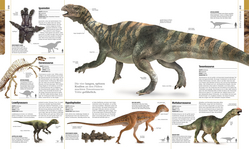 Innenansicht 6 zum Buch Dinosaurier und andere Lebewesen der Urzeit