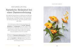 Innenansicht 5 zum Buch Achtsam durch die Schwangerschaft