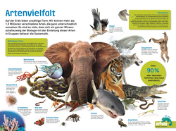 Innenansicht 5 zum Buch memo Wissen entdecken. Tiere