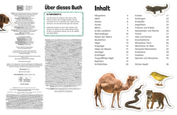 Innenansicht 1 zum Buch Sticker-Lexikon. Tiere