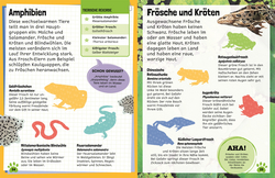 Innenansicht 3 zum Buch Sticker-Lexikon. Tiere