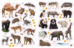 Innenansicht 6 zum Buch Sticker-Lexikon. Tiere