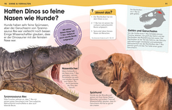 Innenansicht 5 zum Buch Weshalb? Deshalb! Dinos