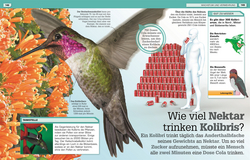 Innenansicht 7 zum Buch Total verrückte Tiere