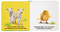 Innenansicht 2 zum Buch Mein Fühlbilderbuch. Tierkinder