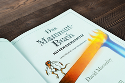 Innenansicht 11 zum Buch Das Mammut-Buch Naturwissenschaften