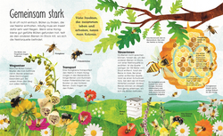 Innenansicht 3 zum Buch Käfer, Bienen, Spinnen