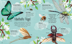 Innenansicht 4 zum Buch Käfer, Bienen, Spinnen