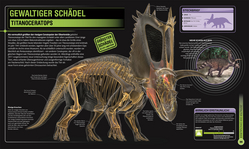 Innenansicht 6 zum Buch Super-Dinos