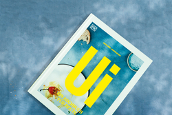 Innenansicht 11 zum Buch Ui