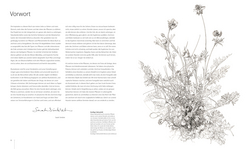 Innenansicht 3 zum Buch Botanik für Künstler