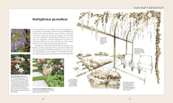 Innenansicht 7 zum Buch Mein Wohlfühlgarten