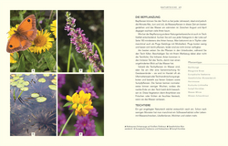 Innenansicht 5 zum Buch Wildnis im Garten