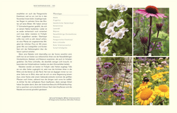 Innenansicht 6 zum Buch Wildnis im Garten