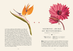 Innenansicht 2 zum Buch Naturelove: Die 50 schönsten exotischen Pflanzen der Welt