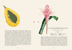 Innenansicht 4 zum Buch Naturelove: Die 50 schönsten exotischen Pflanzen der Welt