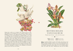 Innenansicht 6 zum Buch Naturelove: Die 50 schönsten exotischen Pflanzen der Welt
