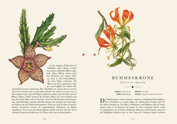 Innenansicht 7 zum Buch Naturelove: Die 50 schönsten exotischen Pflanzen der Welt