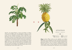 Innenansicht 8 zum Buch Naturelove: Die 50 schönsten exotischen Pflanzen der Welt